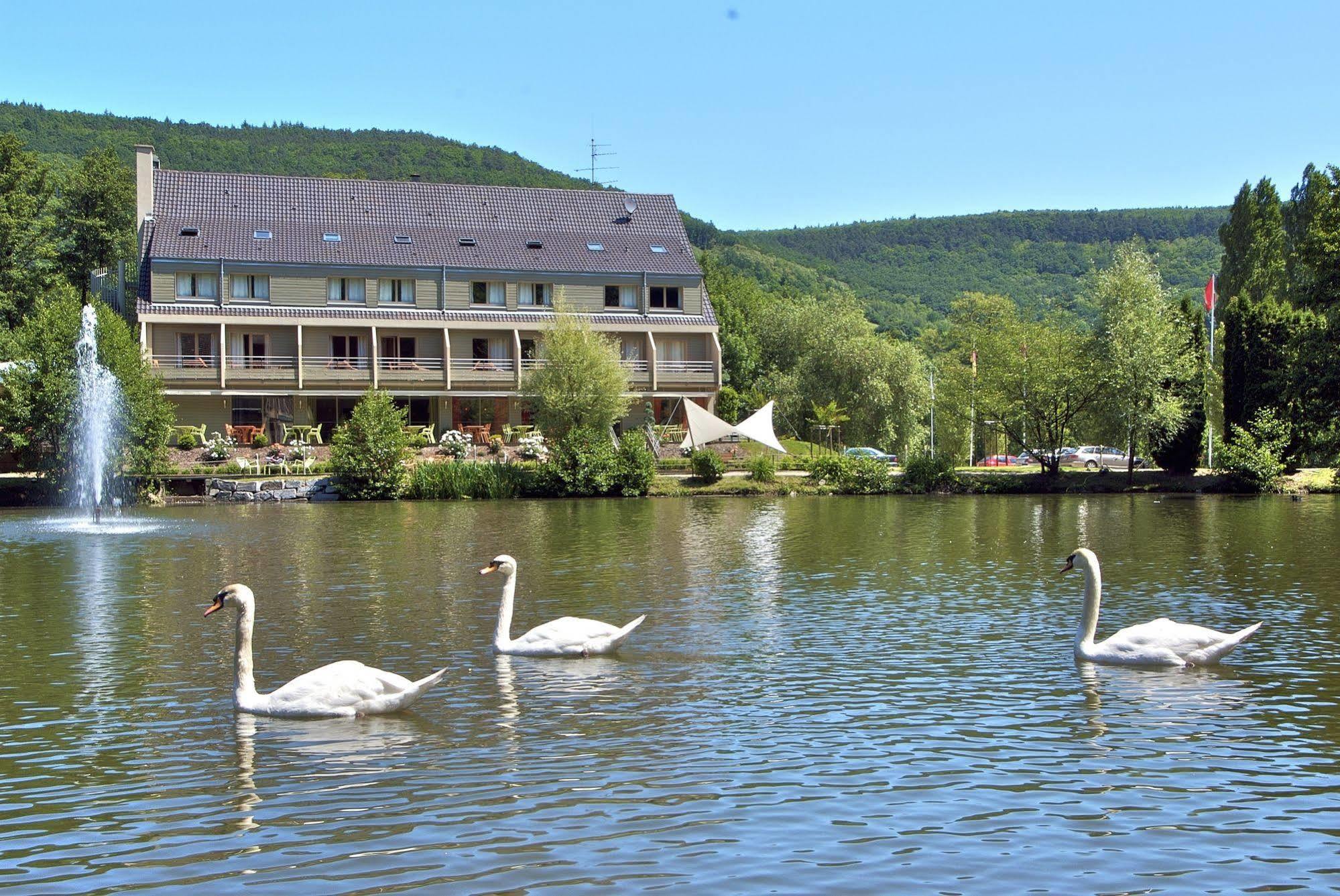 Hôtel Les Rives Guebwiller Exterior foto